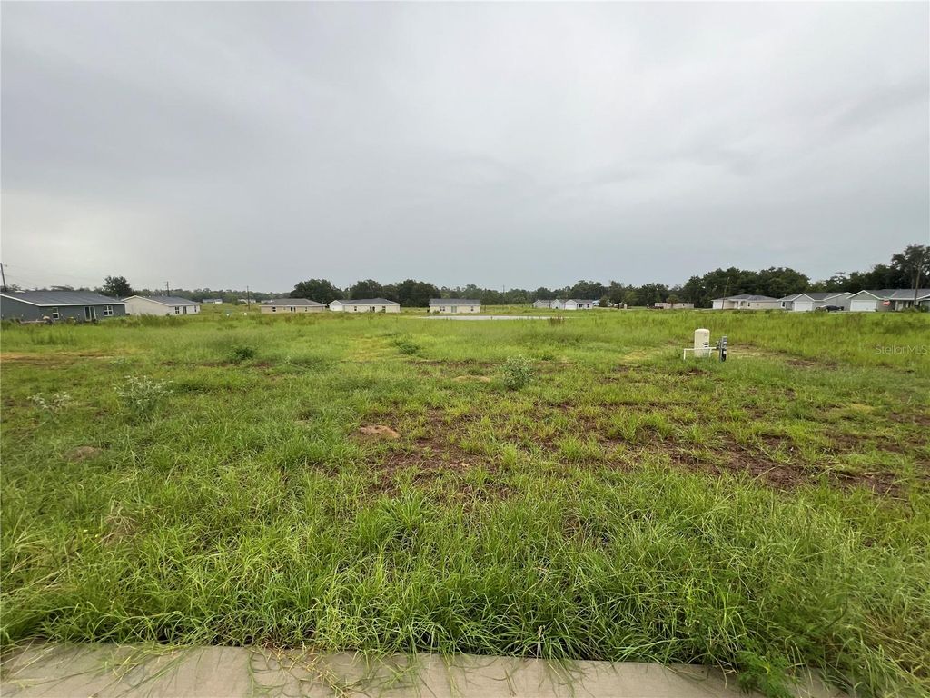 Photo of 9 Maple Lane, Ocklawaha, FL 32179 (MLS # O6374446)