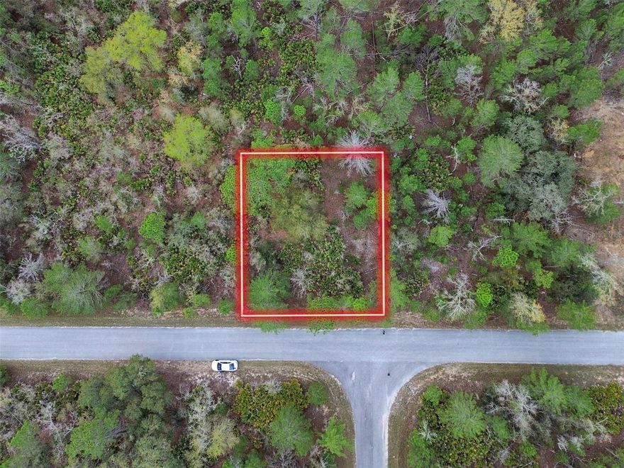 Wooded 0.23-acre lot in the established Silver Springs Shores Unit 35 subdivision, located near Ocala. Features 80' of frontage and 125' depth, zoned R1 for single-family residential. Flood Zone X, no flood insurance typically required. Access via paved county-maintained road. Lot is raw land; buyer to install well and septic. Electric available through Duke Energy. Adjacent to over 2,100 acres owned by St. Johns River Water Management District.
Parcel ID: 9035-0969-24
Coordinates: 29.01616650, -81.87475572