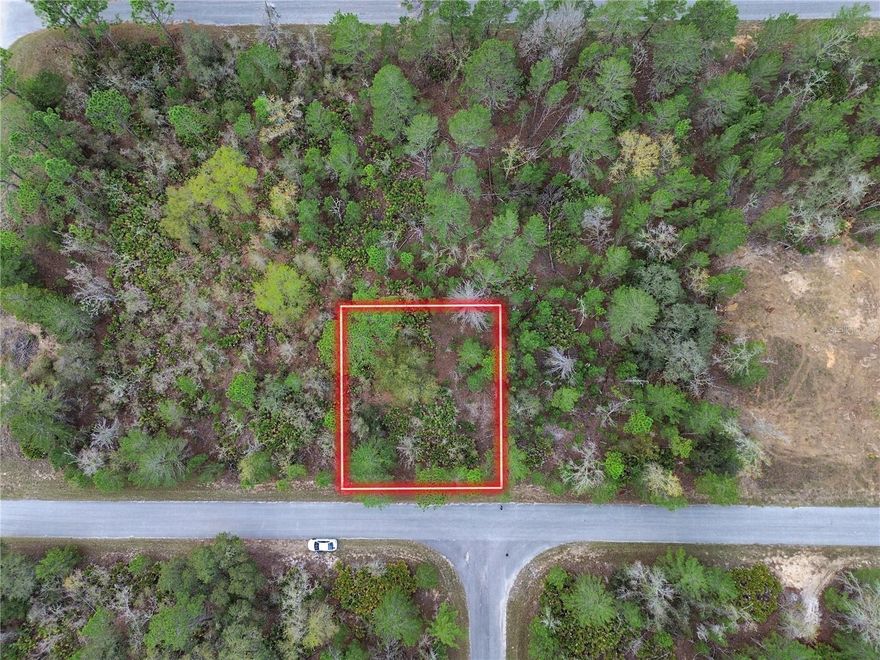 Wooded 0.23-acre lot in the established Silver Springs Shores Unit 35 subdivision, located near Ocala. Features 80' of frontage and 125' depth, zoned R1 for single-family residential. Flood Zone X, no flood insurance typically required. Access via paved county-maintained road. Lot is raw land; buyer to install well and septic. Electric available through Duke Energy. Adjacent to over 2,100 acres owned by St. Johns River Water Management District.
Parcel ID: 9035-0969-24
Coordinates: 29.01616650, -81.87475572