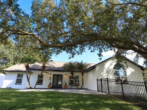 Photo of 13021 Sunshine View Court, Clermont, FL 34711 (MLS # O6360608)