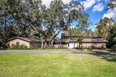 A home in MOUNT DORA