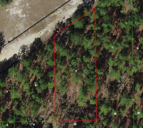 6046 W PELL PLACE DUNNELLON FL 34433