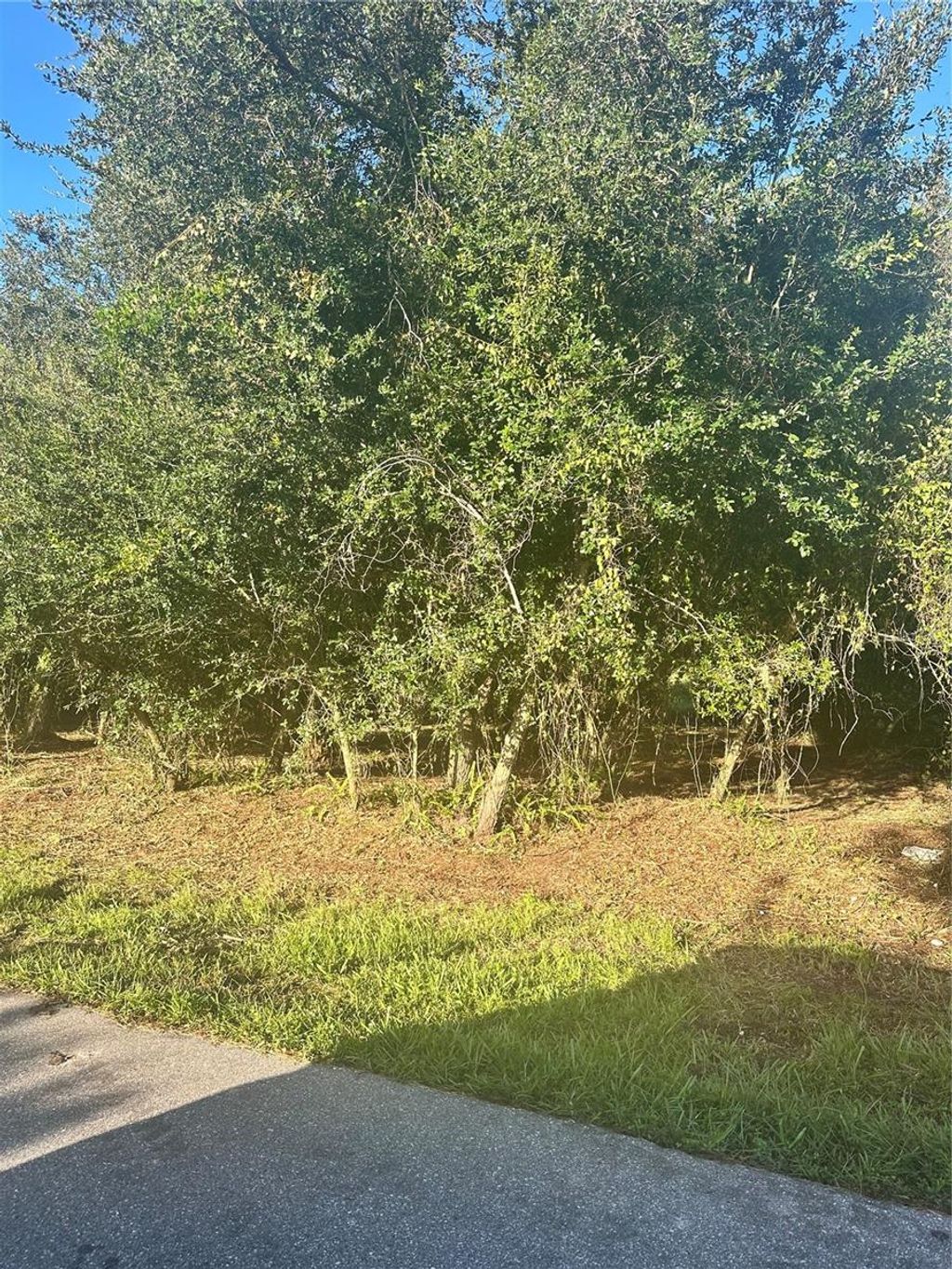 Photo of 13 Sunflower Street, Punta Gorda, FL 33982 (MLS # A4667354)