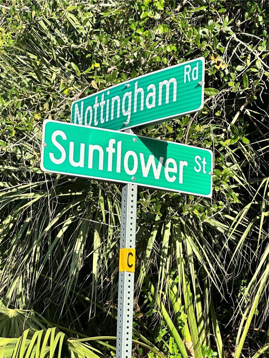 Photo of 13 Sunflower Street, Punta Gorda, FL 33982 (MLS # A4667354)