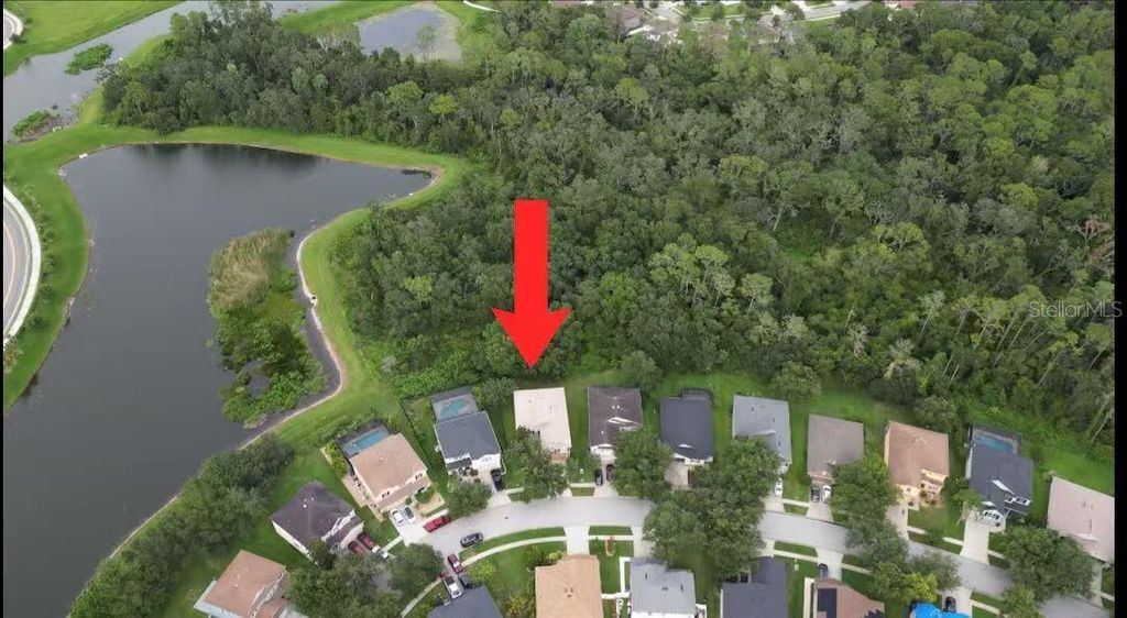 Photo of 7322 Bridgeview Drive, Wesley Chapel, FL 33545 (MLS # TB8414582)