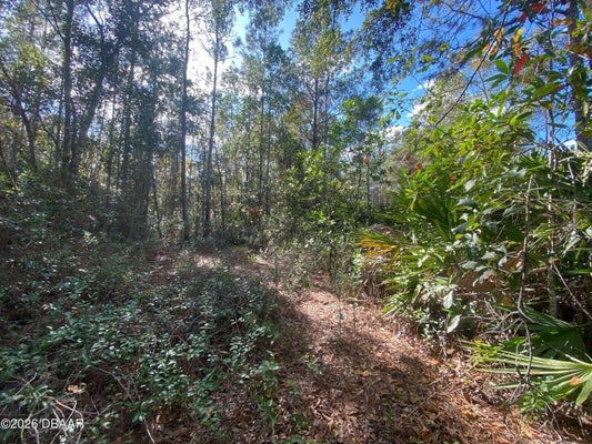 820 OLD BUBBLY RD, PIERSON, FL 32180 - Image 7455cc85dada85c0b0ebb31aa7d2cc6c/1140766868