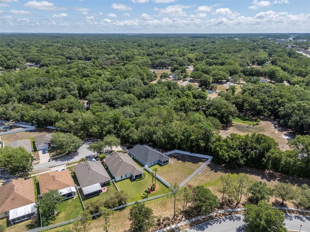 Photo of 25944 Winning Colors Way, Wesley Chapel, FL 33544 (MLS # A4692987)