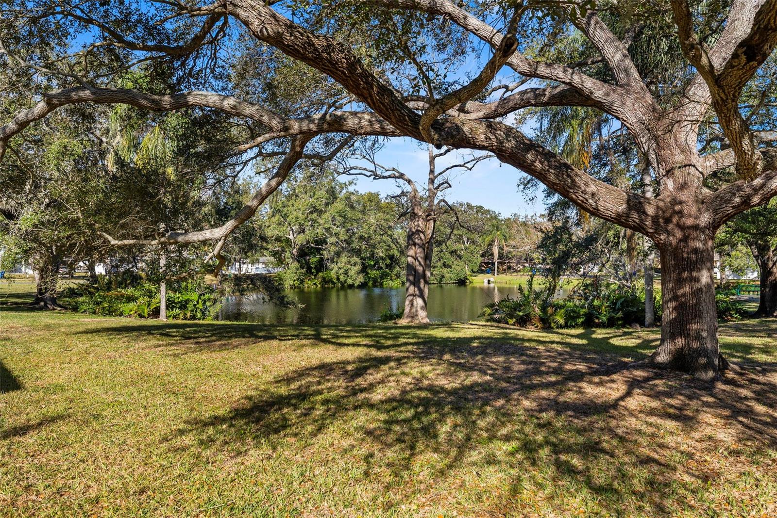 KEENE FOREST - Residential