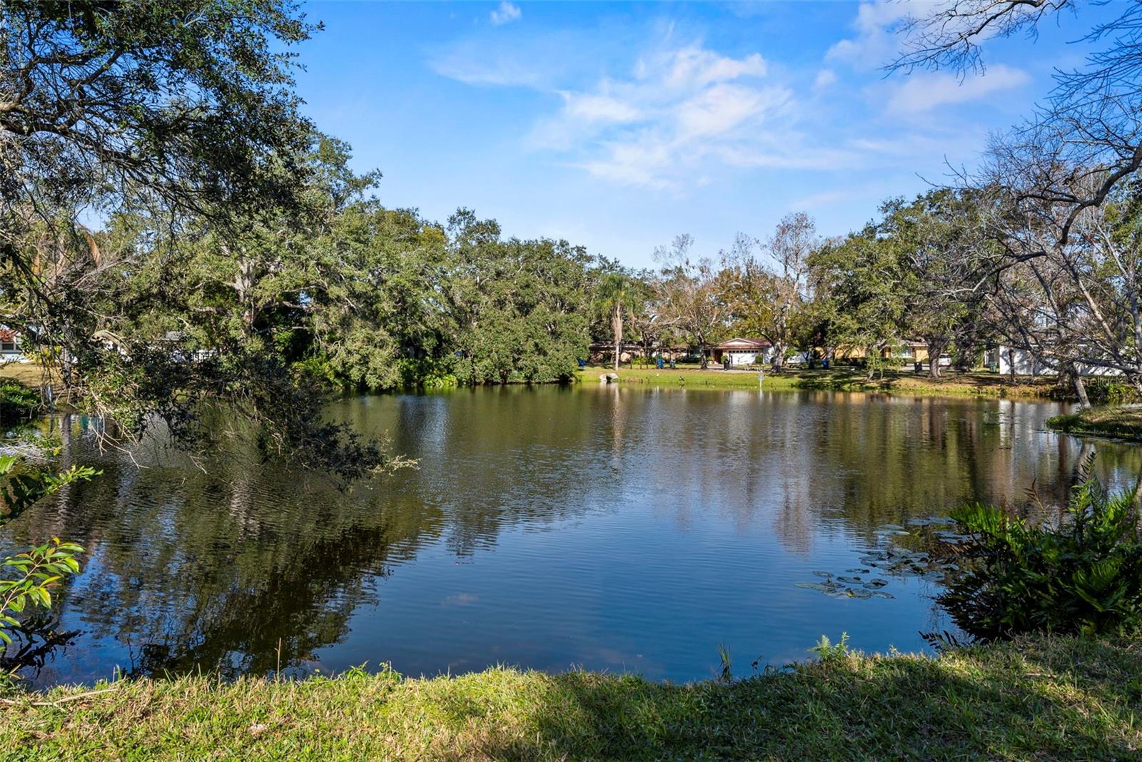 KEENE FOREST - Residential