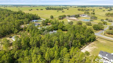 Tiny photo for Ocala, FL 34481 (MLS # OM724363)