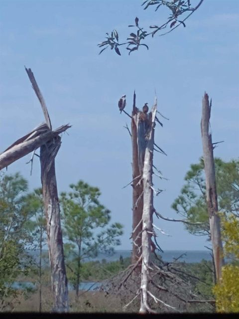 A home in CEDAR KEY