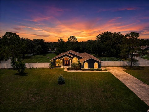 Photo of 31439 Stirrup Lane, Wesley Chapel, FL 33543 (MLS # S5154786)