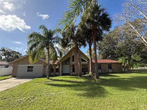 A home in WINTER GARDEN