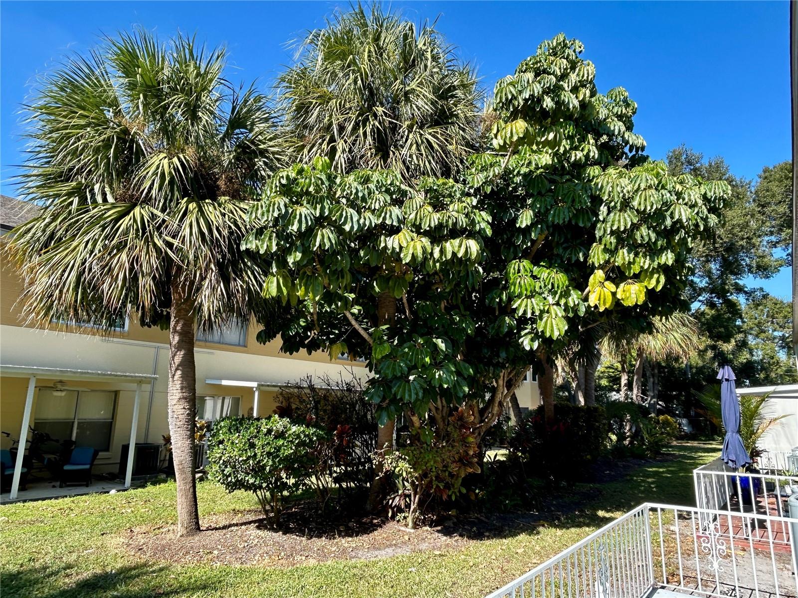 ON TOP OF THE WORLD - Residential