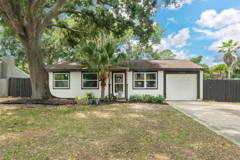 Photo of 3042 Hanna Court, Palm Harbor, FL 34684 (MLS # TB8508238)