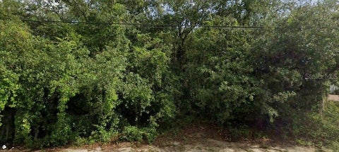 Photo of 6175 Roxboro Street, Spring Hill, FL 34606 (MLS # O6438448)