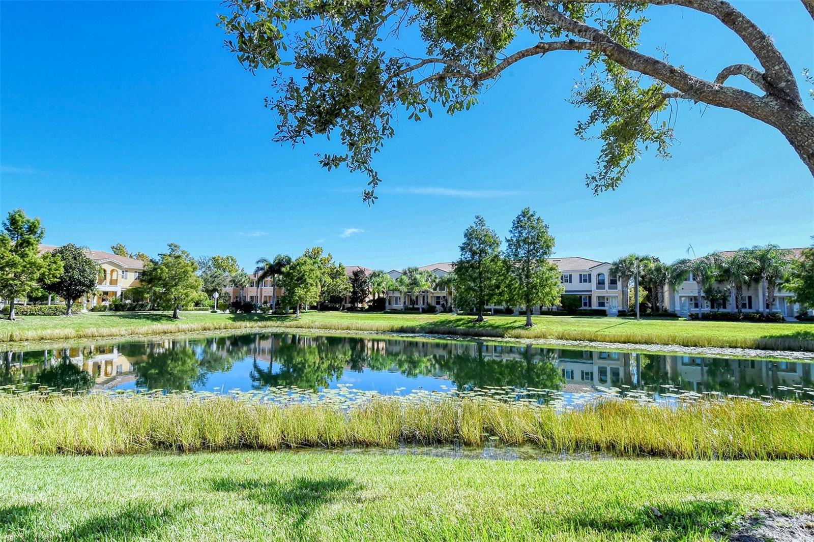 SAN MICHELE AT UNIVERSITY COMMONS - Residential Lease