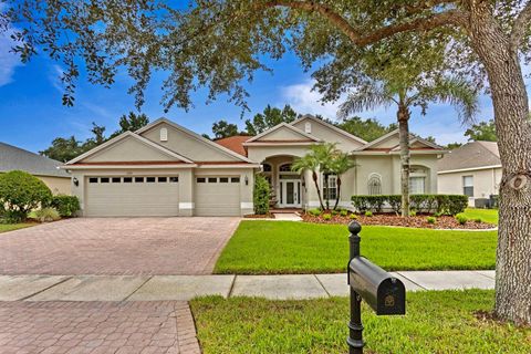 A home in TAMPA