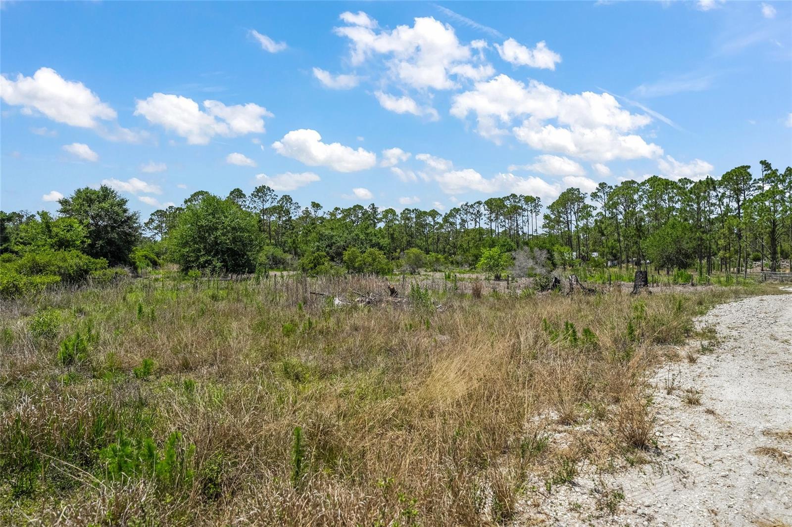NORTH PORT CHARLOTTE ESTATES - Land