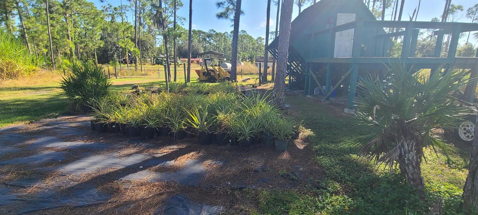 NORTH PORT CHARLOTTE ESTATES - Land