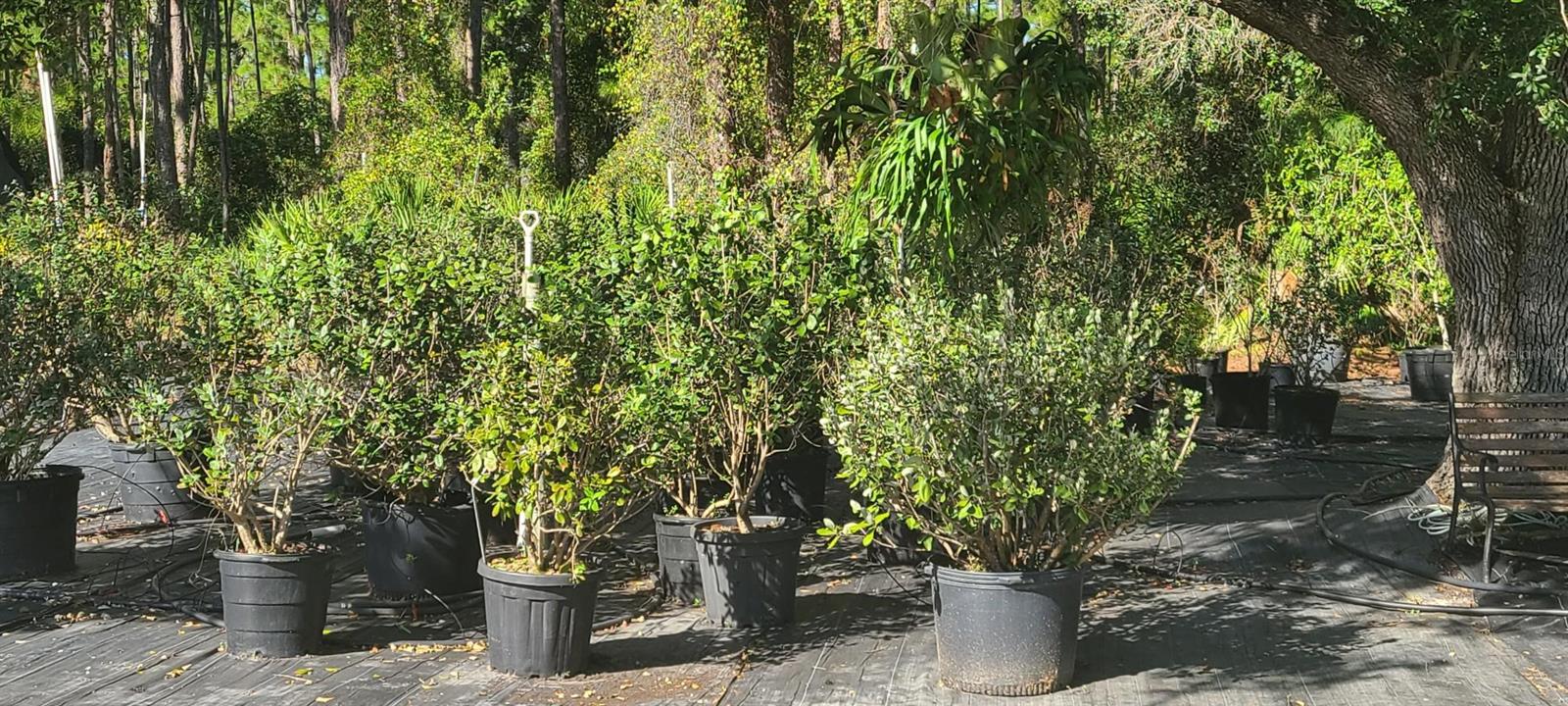 NORTH PORT CHARLOTTE ESTATES - Land