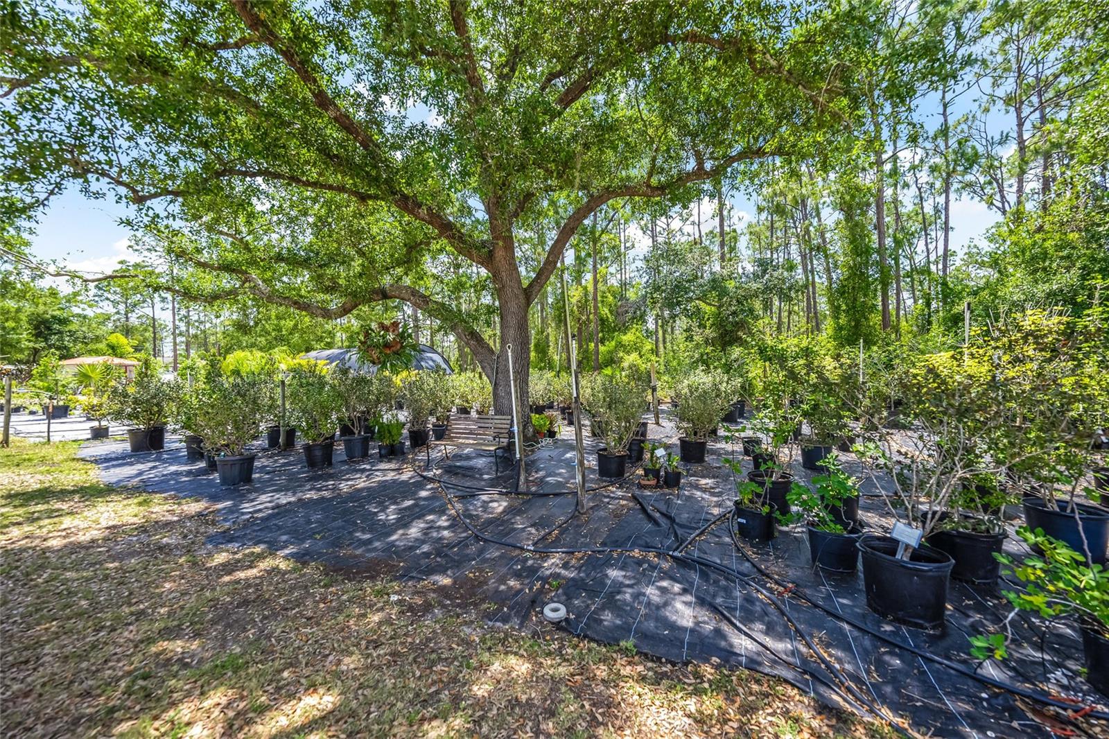 NORTH PORT CHARLOTTE ESTATES - Land