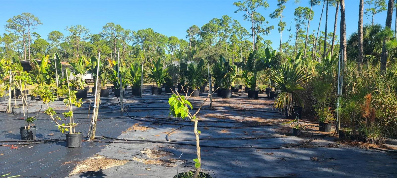 NORTH PORT CHARLOTTE ESTATES - Land