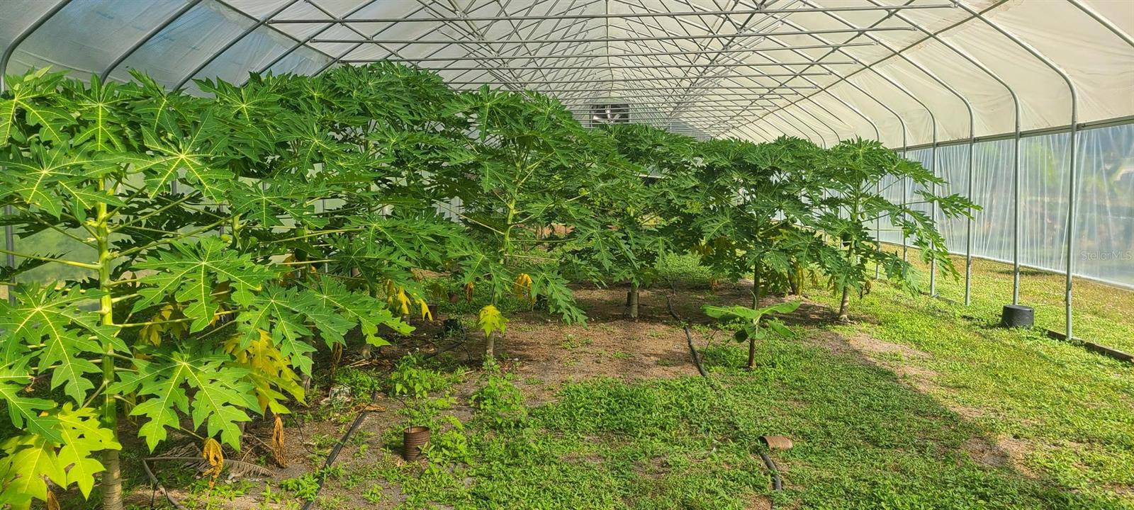 NORTH PORT CHARLOTTE ESTATES - Land