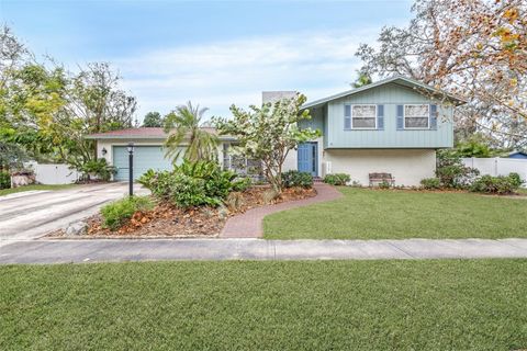 509 OAKHURST STREET BRANDON FL 33511