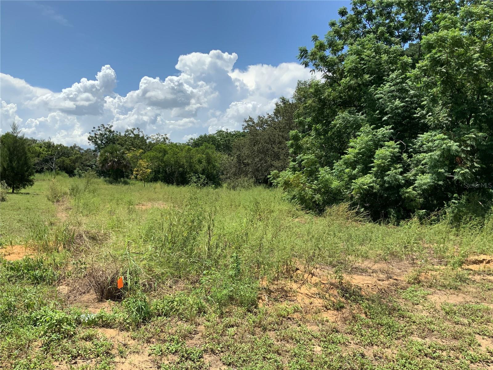 This lot is located on a dead end street and is cleared for you to get the building under way. This is a must see location to confirm this is the perfect spot for your new home. Bring your contractor and build that special place in this great area of Lake county. Minutes to all the common needs and amenities for today's world. Hope this will be the best place to make your dream home reality.