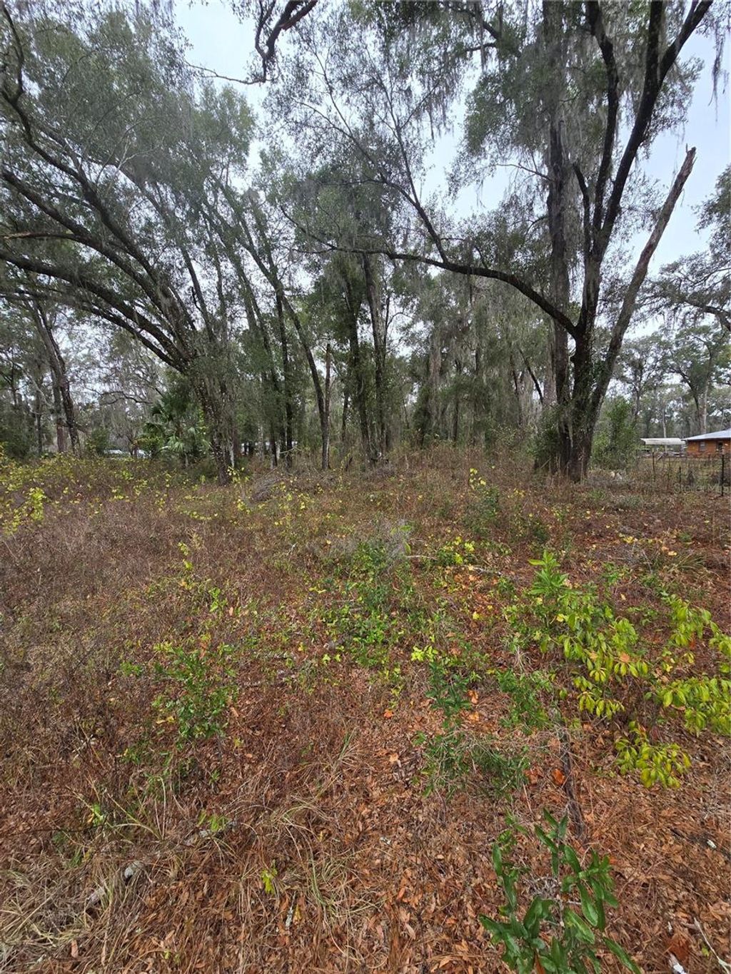 Photo of 00 W C 476, Bushnell, FL 33513 (MLS # TB8468874)