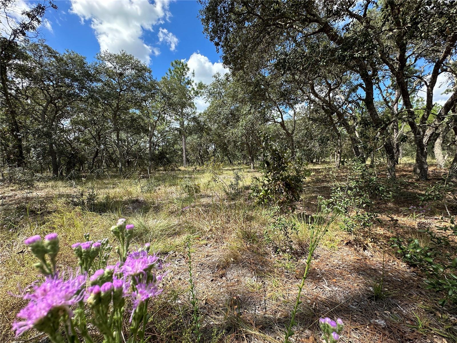 RAINBOW LAKES ESTATES - Land