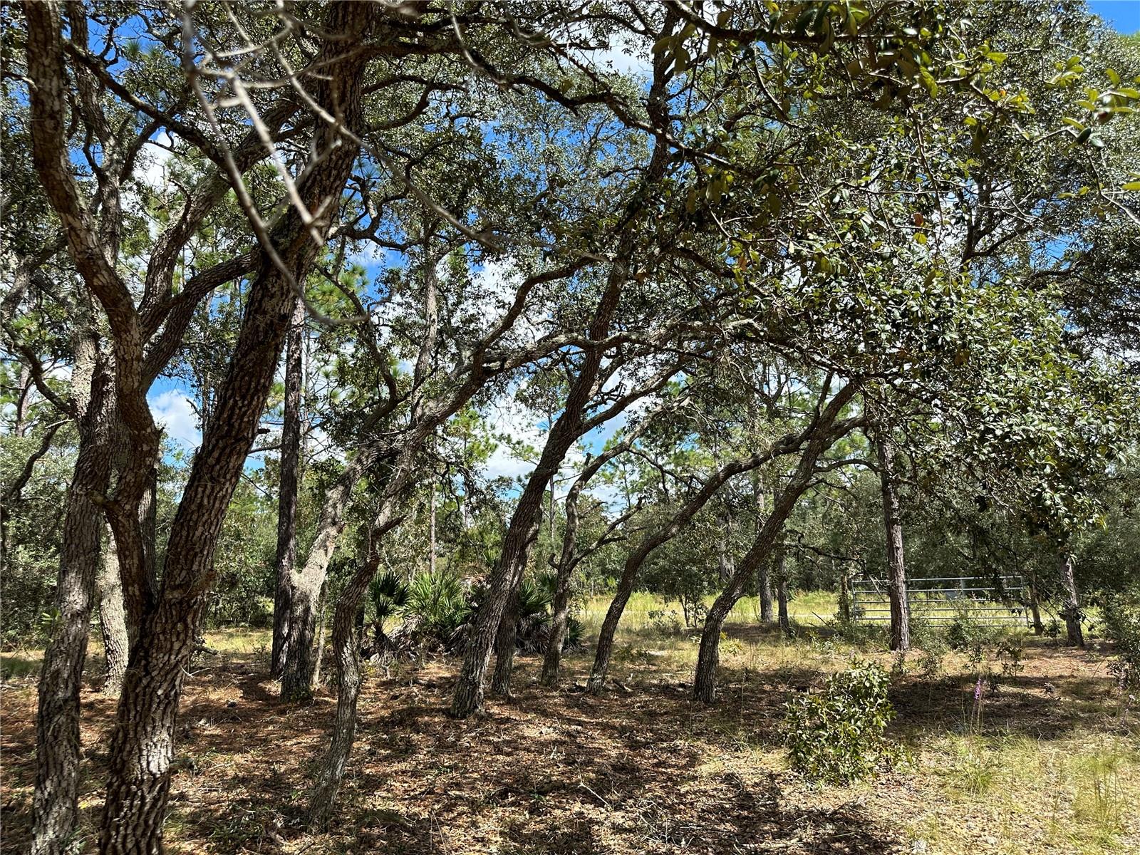 RAINBOW LAKES ESTATES - Land