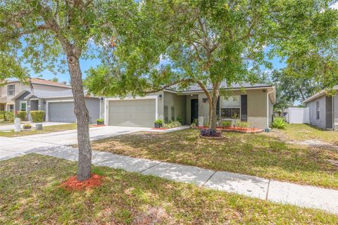 13643 TRAMORE DRIVE ODESSA FL 33556