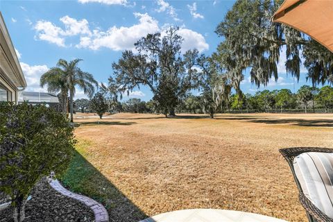 Tiny photo for 1374 Patrick Place, The Villages, FL 32162 (MLS # G5106476)