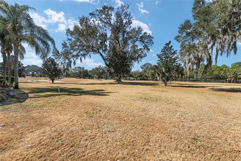 Tiny photo for 1374 Patrick Place, The Villages, FL 32162 (MLS # G5106476)