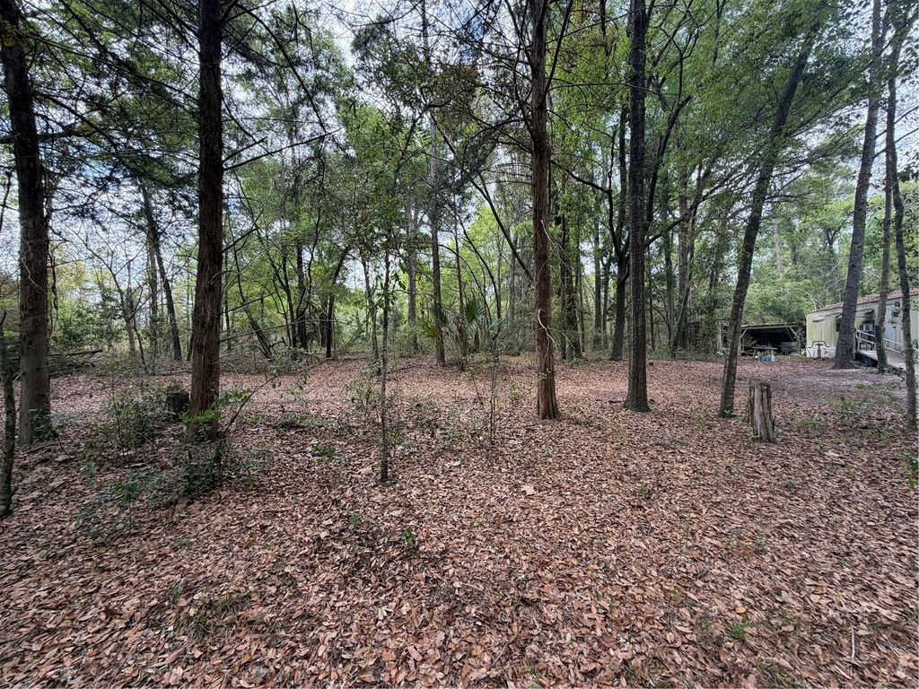 Photo of 3100 NW 30th Street, Bell, FL 32619 (MLS # GC539355)