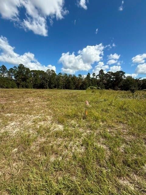 Tiny photo for Xxx SW 59th Court, Ocala, FL 34473 (MLS # OM734494)