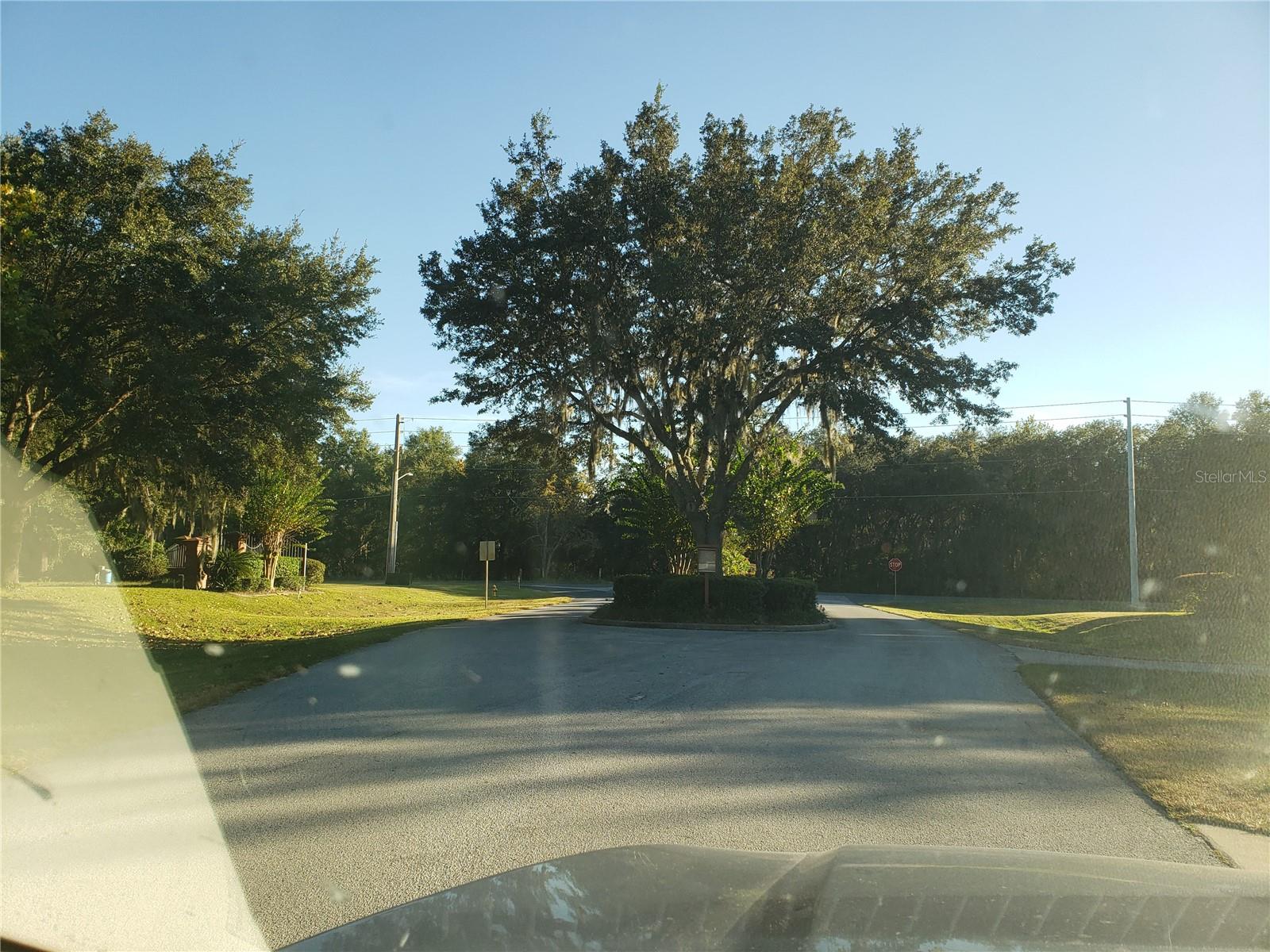 WINGSPREAD FRUITLAND PARK - Residential