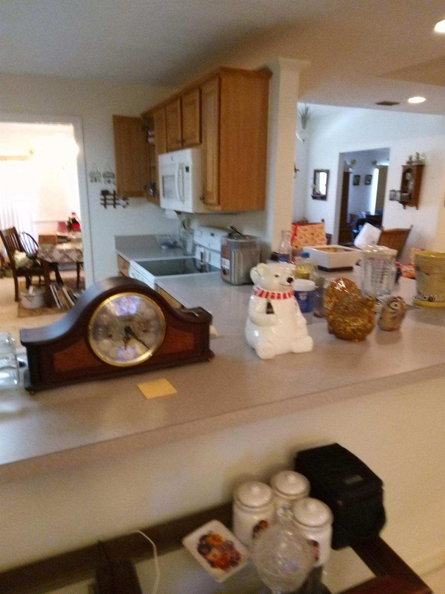 WINGSPREAD FRUITLAND PARK - Residential