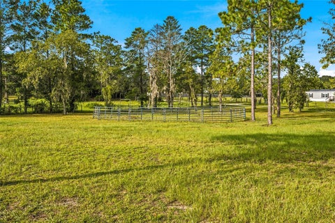 Tiny photo for 5351 NE 121st Terrace, Williston, FL 32696 (MLS # OM731350)