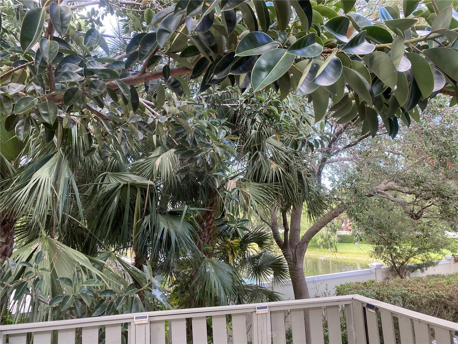 508 SANDTREE