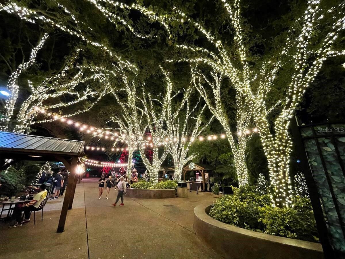 VISTA DEL MAR - Residential