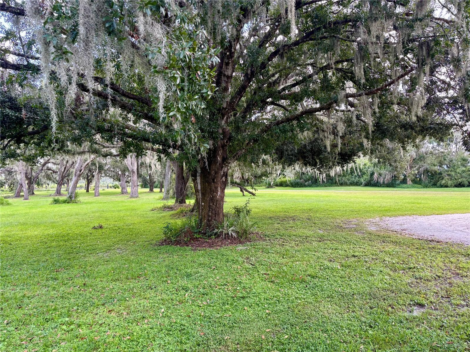 1764; FORT HAMER RD S. OF 301 - Residential