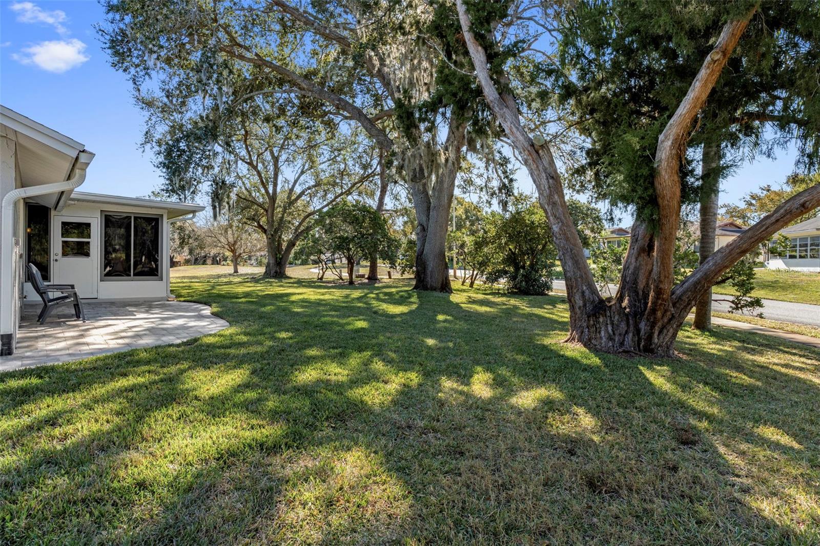 SAN CLEMENTE VILLAGE - Residential