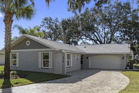 Photo of 10715 Hachita Drive, Port Richey, FL 34668 (MLS # TB8466242)