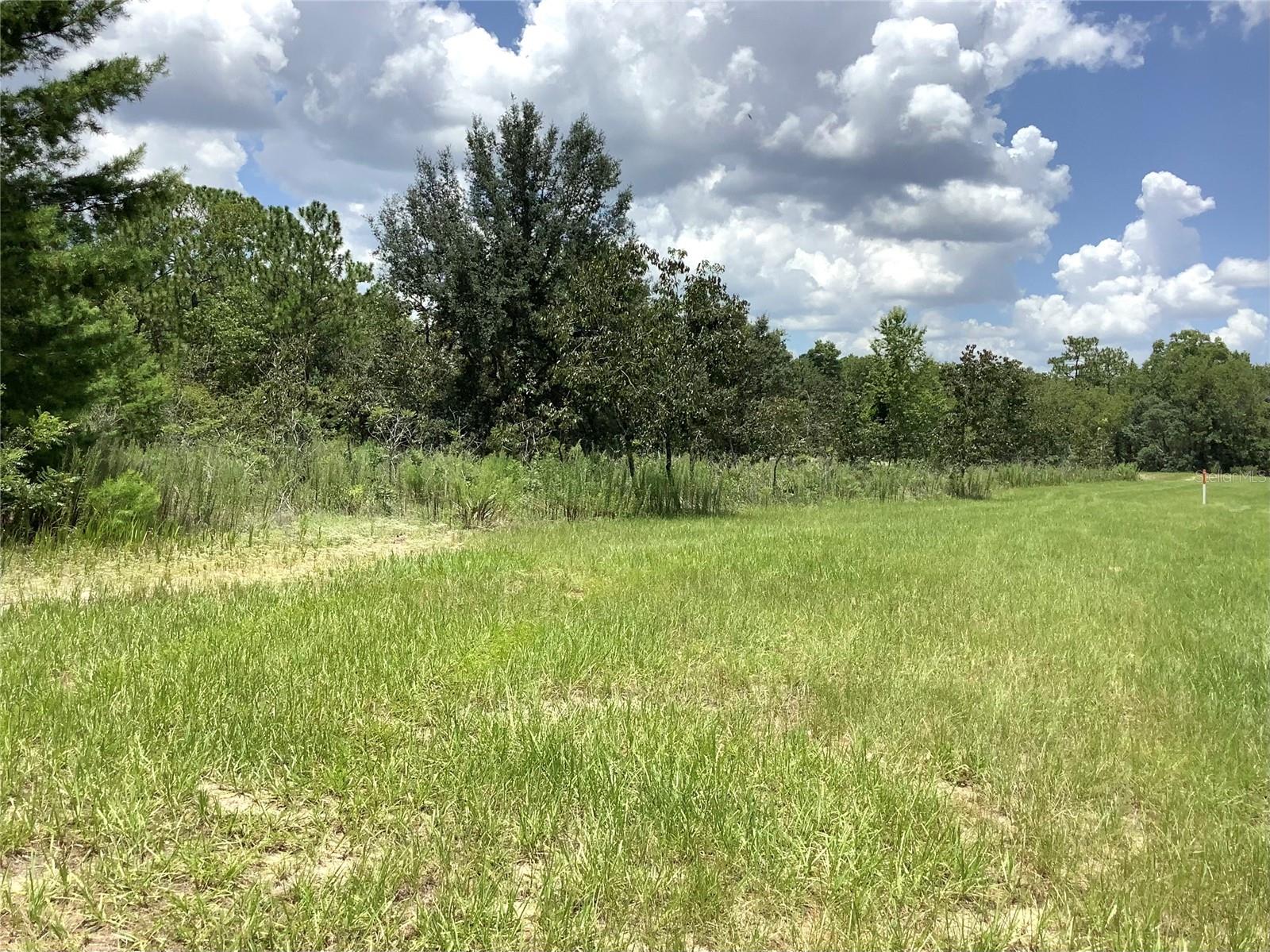 MARION OAKS UNIT 9 - Land