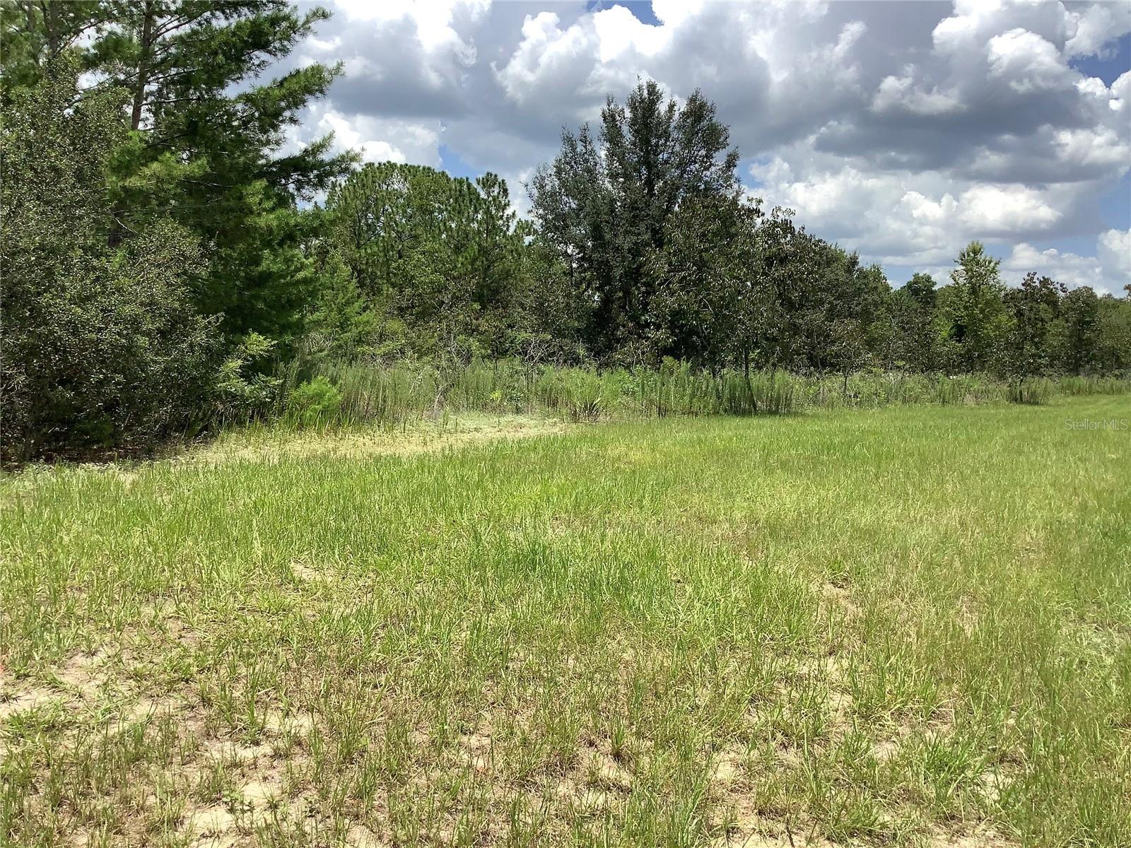 MARION OAKS UNIT 9 - Land