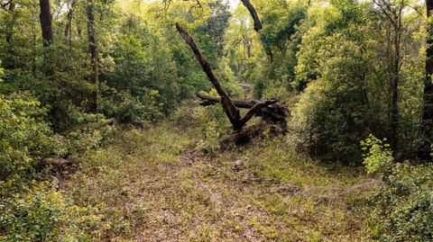00 NW 177TH PLACE HIGH SPRINGS FL 32643
