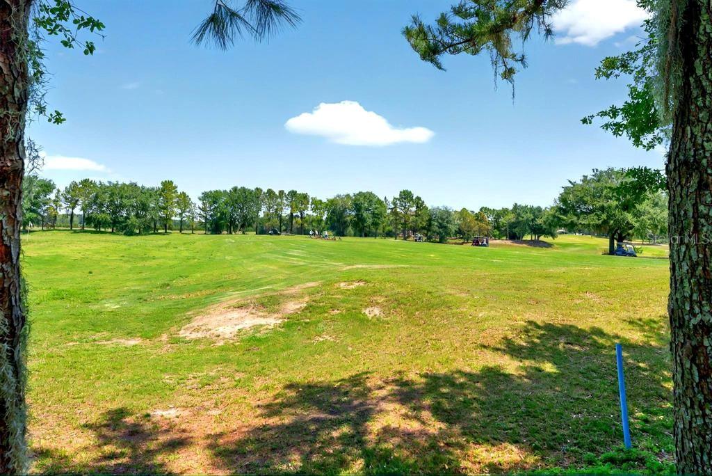 27121 WHITE PLAINS WAY